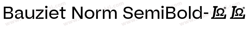 Bauziet Norm SemiBold字体转换